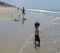 h_funatdogbeach