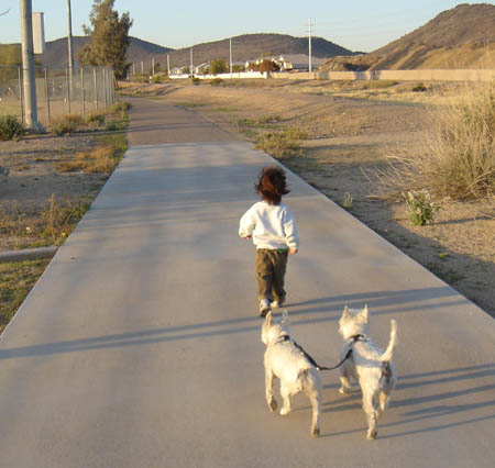 a_meandmydogs