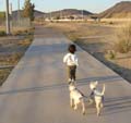 a_meandmydogs