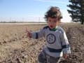 b_itsreadytoplant