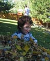 leaf-fun1