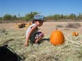 l-mydadspumpkin